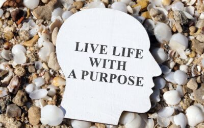 The Search for Purpose