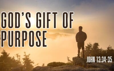 God’s Gift of Purpose