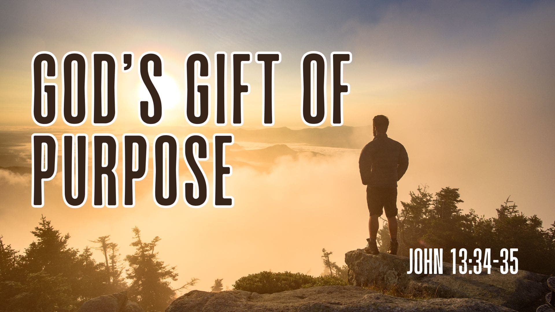 God’s Gift of Purpose